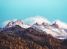 LPL赛事整活：先别管赢不赢，就说来没来吧